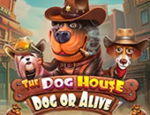 The Dog House Dog or Alive